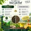 Why Rosavalle Green Tea is better than others green tea Why Rosavalle Green Tea is better than others green tea
